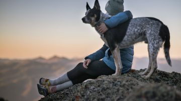 Traveling with a lovely dog to the top of a mountain